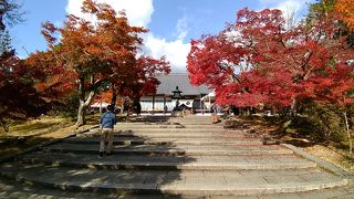 敷地内の紅葉がきれい