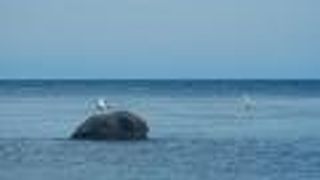 宗谷岬展望台は誰でも出入り自由で、寒さをしのぐことができ、観光望遠鏡も備えられています。