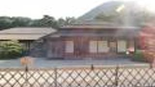 お茶をいただき眺める