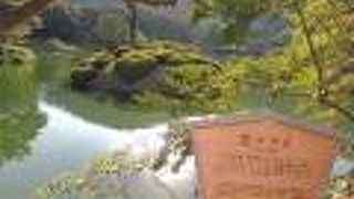 ハートのツツジ