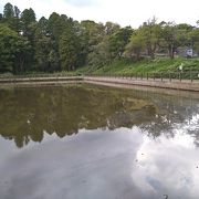 フィギュア発祥の池