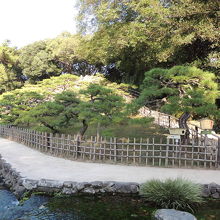 右から登りました