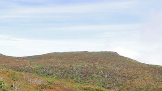 今年は紅葉おそめ