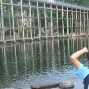 回遊式日本庭園の水景園は見ごたえ十分。