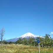 雄大な富士山の姿を目前に