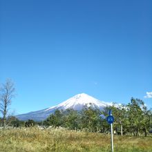 朝霧高原