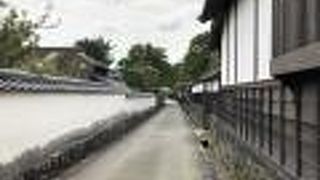 見どころの多い道です