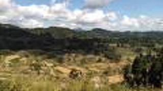 見応えがあります。