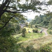 草が茂って公園には見えません。