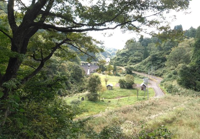 草が茂って公園には見えません。