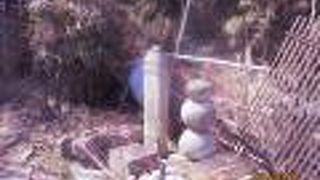 平賀源内の足跡を伝える生祠