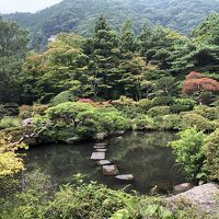 手入れの行き届いた美しい日本庭園