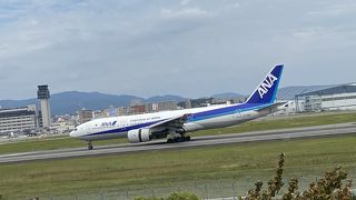 滑走路横の公園