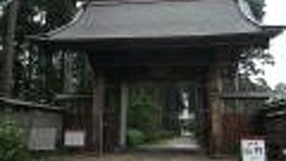 あじさいも見事