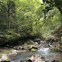 川沿いをてくてく