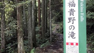 アドベンチャー感たっぷりの遊歩道