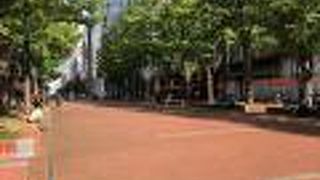 赤レンガと並木道