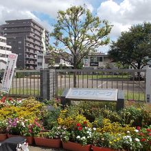 公園の様子です。