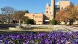 きれいな花壇、そして噴水