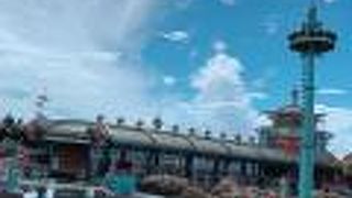 水面をすいすい進む