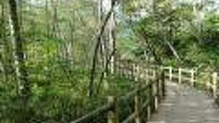 上高地のメインハイキングコース