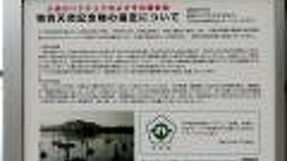 小湊白鳥渡来地