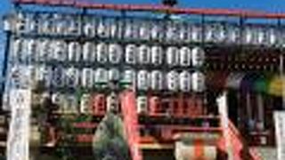 池に浮かぶ島の中心