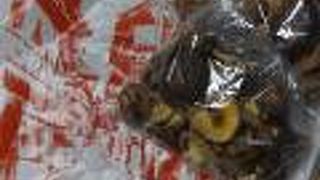 美味しい干し椎茸のある温泉