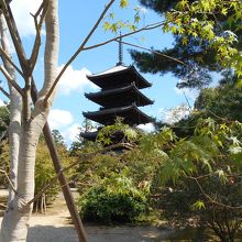 仁和寺五重塔