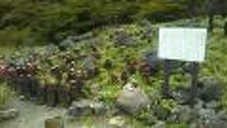 たくさんのお地蔵様