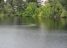 ビーチ コート -  ホステル