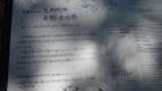 仁和寺五重塔の裏に鎮座