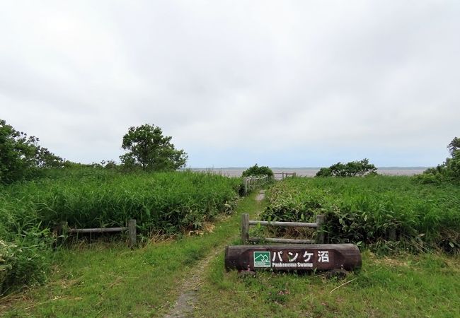 パンケ沼 クチコミ アクセス 営業時間 豊富 サロベツ フォートラベル