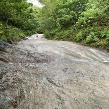 こんな所を登ります