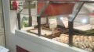 コスパ最強のミニクロワッサン