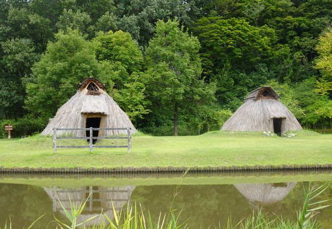 太古の歴史を感じる散策スポット （まほろば古の里歴史公園） 