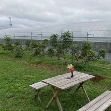 館山パイオニアファーム 