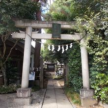 入り口の鳥居です。