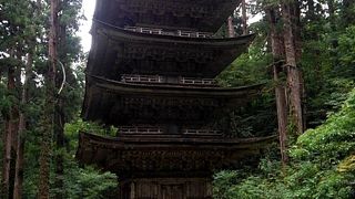 杉並木の中にある五重塔