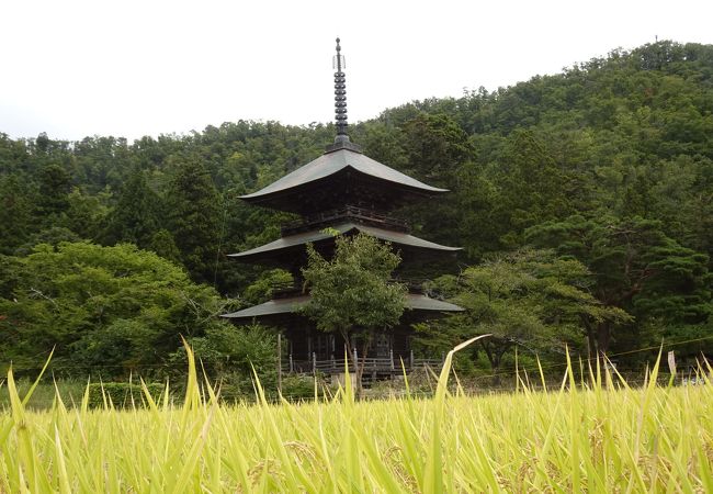 三重塔が絵になる （安久津八幡神社）