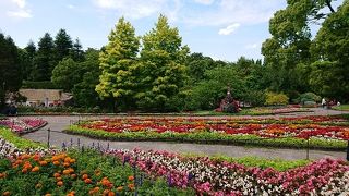 花が綺麗な公園