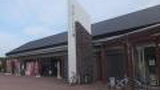 いちおう湖畔には出られます