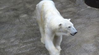 いつ行っても見ごたえじゅうぶん