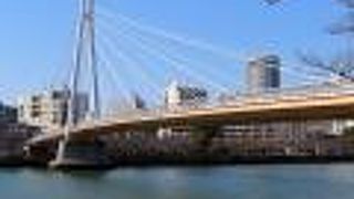 大川両岸散策にぴったりのエリアでした