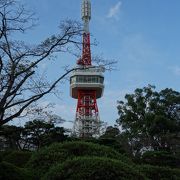 東京タワーに似ている印象でした