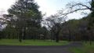 起伏ある公園の散策は運動になりました