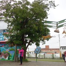 観光バスから降りてきた人たちも、写真撮影に夢中