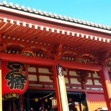 青空との色の差がキレイです