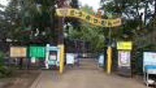 大宮公園の中にあります。