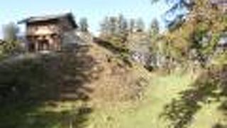 今は地味な存在ですが、井伊直政も城主だったことがあるお城です。